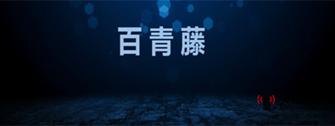 新常態(tài)下互聯(lián)網(wǎng)企業(yè)如何引領(lǐng)品類的健康發(fā)展2